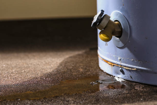 Best Water damage restoration process  in Bismarck, MO