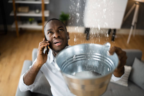 Best Local water damage restoration  in Bismarck, MO