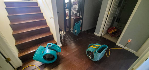 Best Professional water damage repair  in Bismarck, MO