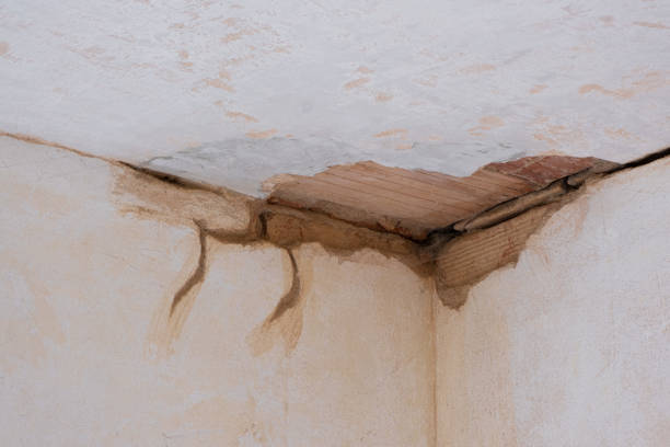 Best Flood damage cleanup  in Bismarck, MO