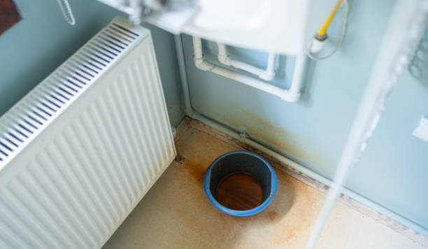 Best Flooded house restoration  in Bismarck, MO
