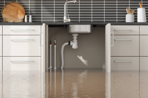 Best Mold removal after water damage  in Bismarck, MO