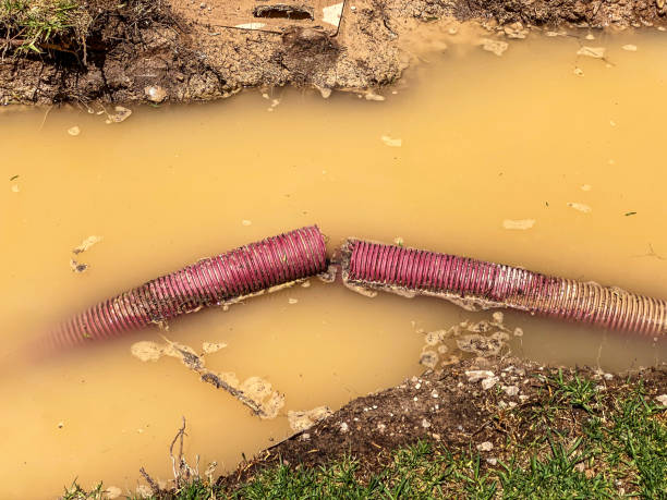  Bismarck, MO Water damage restoration Pros