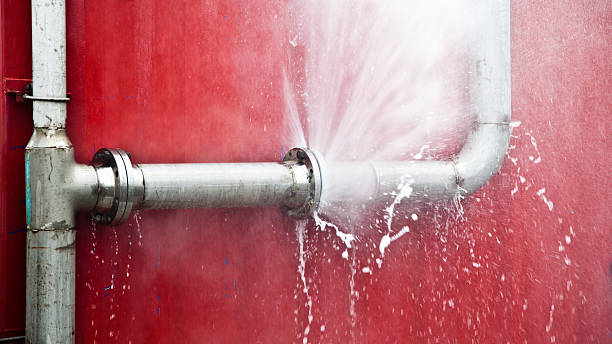 Best Basement water damage restoration  in Bismarck, MO